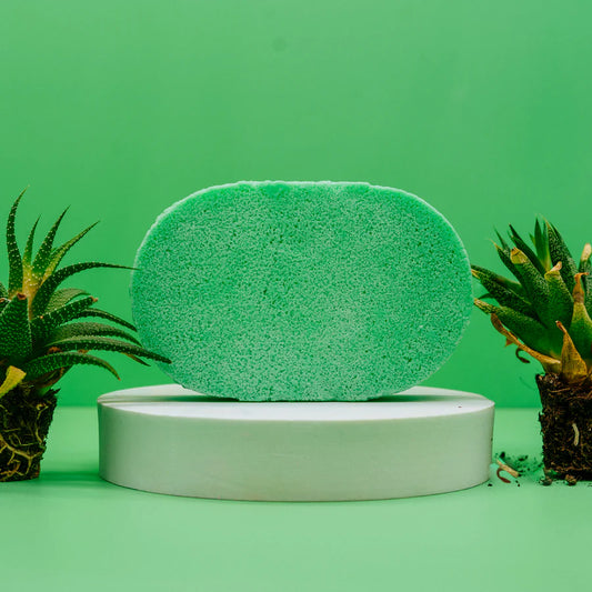 Mango and Papaya Soap Sponge